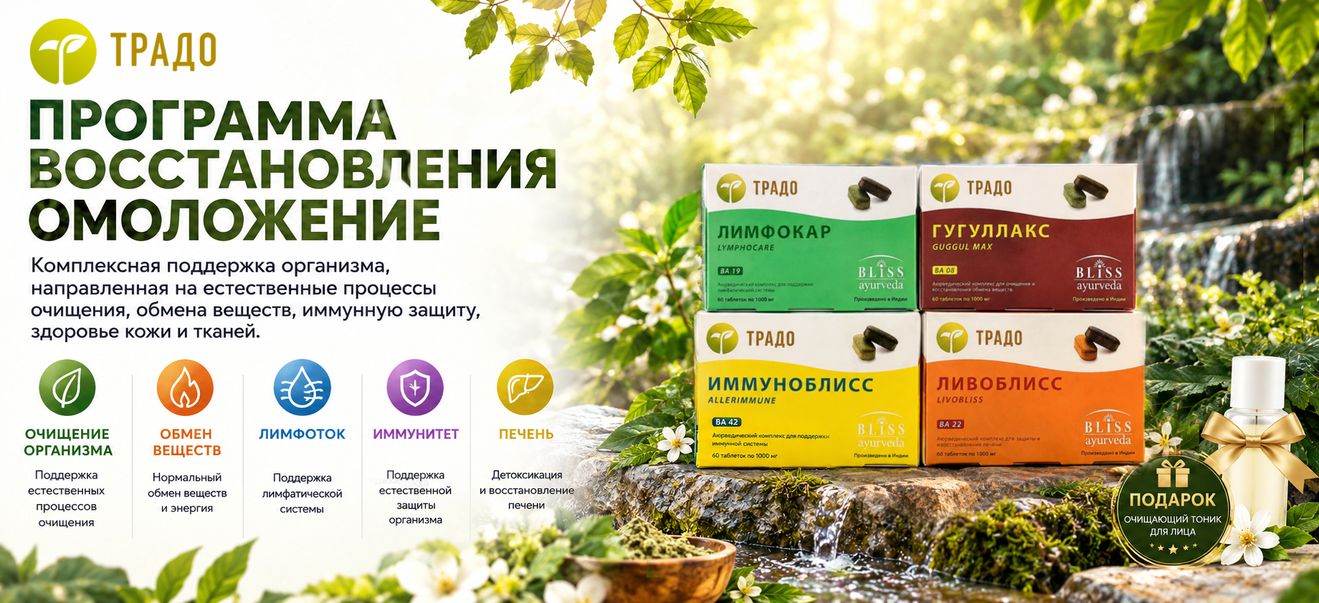обложка дзен2.png
