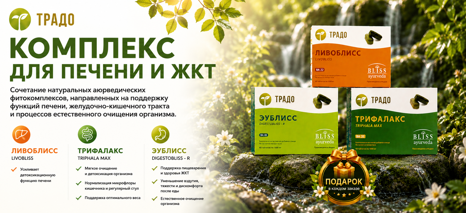 Баннер печень и ЖКТ.png Баннер печень и ЖКТ.png